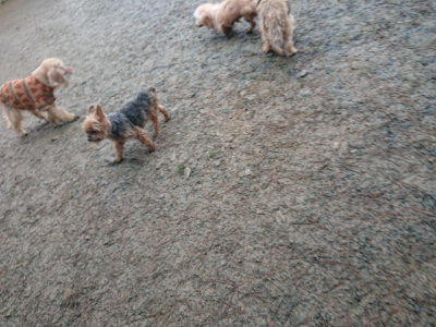 f:id:roukenhome-ann:20190201122238j:plain