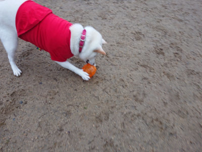 f:id:roukenhome-ann:20190201122253j:plain