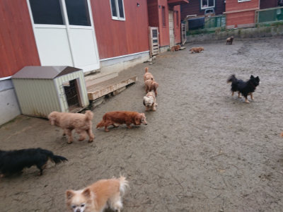 f:id:roukenhome-ann:20190201122307j:plain