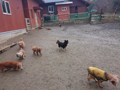 f:id:roukenhome-ann:20190201122313j:plain