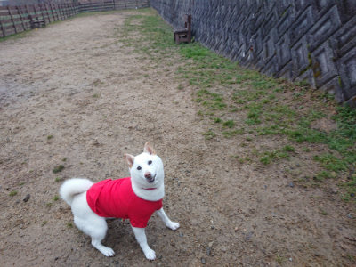 f:id:roukenhome-ann:20190201122318j:plain