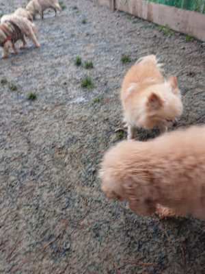 f:id:roukenhome-ann:20190201122359j:plain