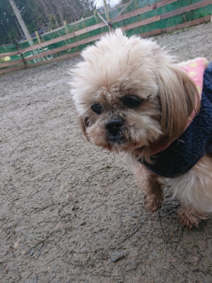 f:id:roukenhome-ann:20190201122715j:plain