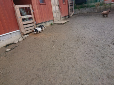 f:id:roukenhome-ann:20190201122727j:plain