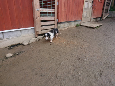 f:id:roukenhome-ann:20190201122731j:plain