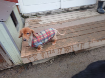f:id:roukenhome-ann:20190201122954j:plain