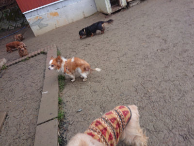 f:id:roukenhome-ann:20190201123045j:plain