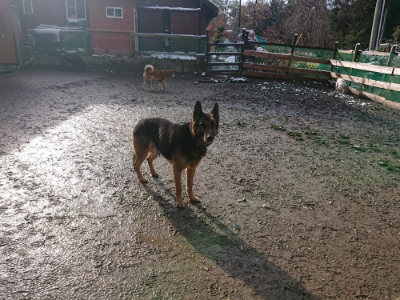 f:id:roukenhome-ann:20190202095455j:plain