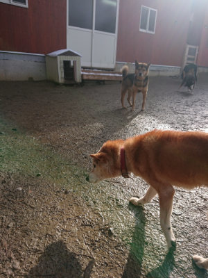 f:id:roukenhome-ann:20190202095653j:plain