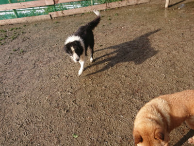 f:id:roukenhome-ann:20190202095659j:plain