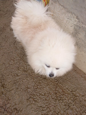 f:id:roukenhome-ann:20190202095739j:plain