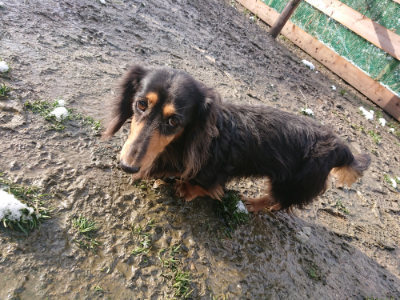 f:id:roukenhome-ann:20190202121017j:plain