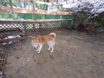 f:id:roukenhome-ann:20190202121120j:plain