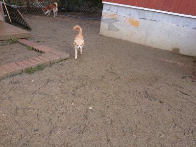 f:id:roukenhome-ann:20190202122003j:plain