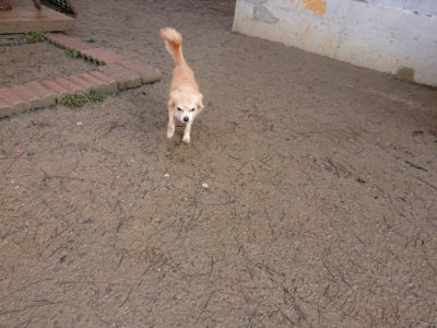 f:id:roukenhome-ann:20190202122008j:plain
