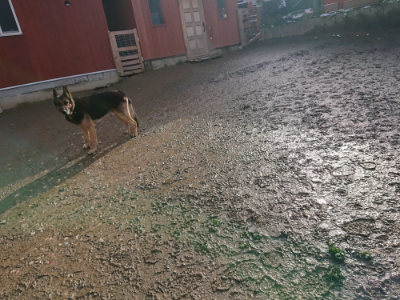 f:id:roukenhome-ann:20190202122013j:plain