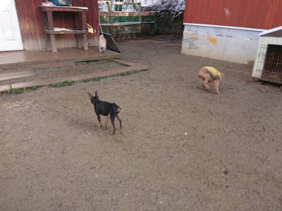 f:id:roukenhome-ann:20190202122253j:plain