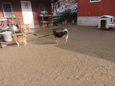 f:id:roukenhome-ann:20190202122305j:plain