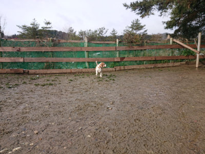 f:id:roukenhome-ann:20190202122329j:plain
