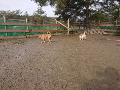 f:id:roukenhome-ann:20190202122346j:plain