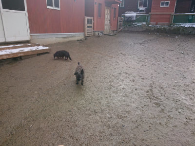 f:id:roukenhome-ann:20190202122356j:plain