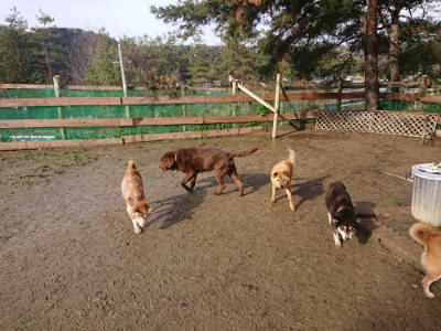 f:id:roukenhome-ann:20190202122726j:plain