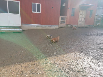 f:id:roukenhome-ann:20190202122736j:plain