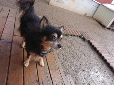 f:id:roukenhome-ann:20190202122808j:plain