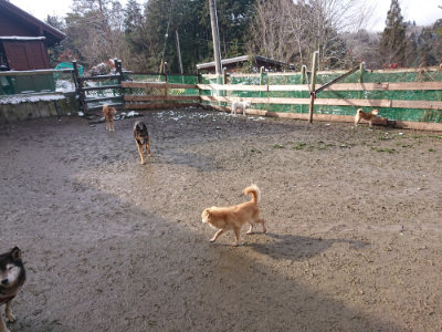 f:id:roukenhome-ann:20190202122900j:plain