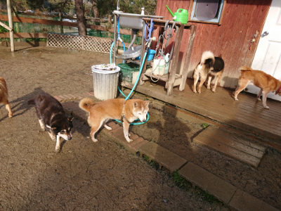 f:id:roukenhome-ann:20190202122929j:plain