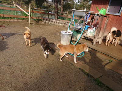 f:id:roukenhome-ann:20190202122946j:plain