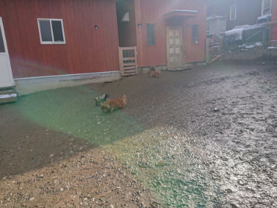 f:id:roukenhome-ann:20190202123254j:plain