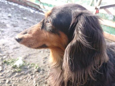 f:id:roukenhome-ann:20190202123316j:plain