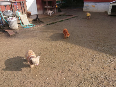 f:id:roukenhome-ann:20190202123344j:plain