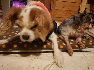 f:id:roukenhome-ann:20190202153341j:plain