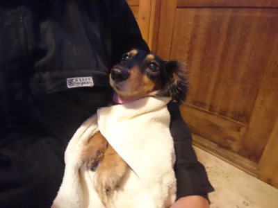 f:id:roukenhome-ann:20190202153406j:plain