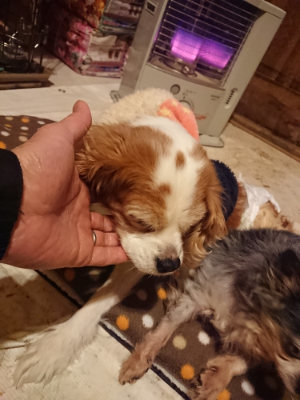 f:id:roukenhome-ann:20190202153423j:plain