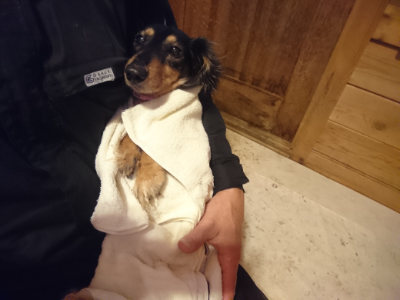f:id:roukenhome-ann:20190202153448j:plain