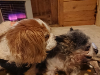 f:id:roukenhome-ann:20190202153503j:plain