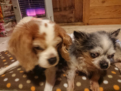 f:id:roukenhome-ann:20190202153508j:plain
