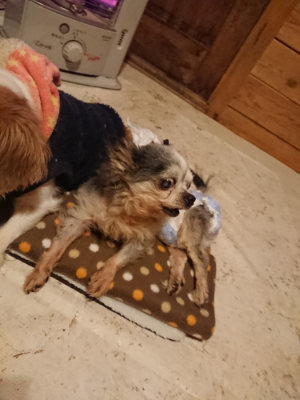 f:id:roukenhome-ann:20190202153603j:plain