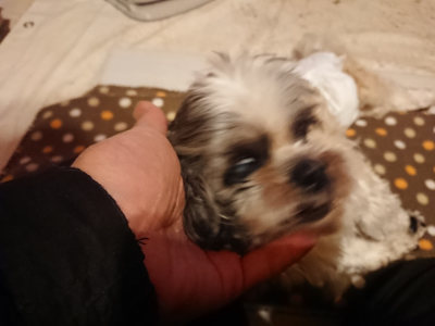 f:id:roukenhome-ann:20190202153608j:plain