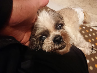 f:id:roukenhome-ann:20190202153622j:plain