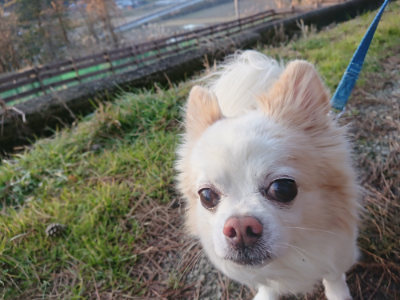 f:id:roukenhome-ann:20190202180339j:plain