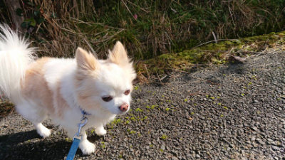 f:id:roukenhome-ann:20190202202110j:plain