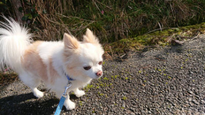 f:id:roukenhome-ann:20190202202116j:plain