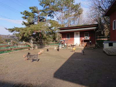 f:id:roukenhome-ann:20190202203302j:plain