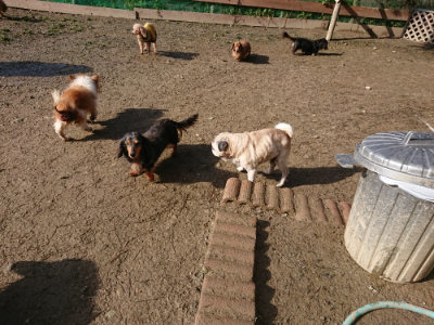 f:id:roukenhome-ann:20190202204333j:plain