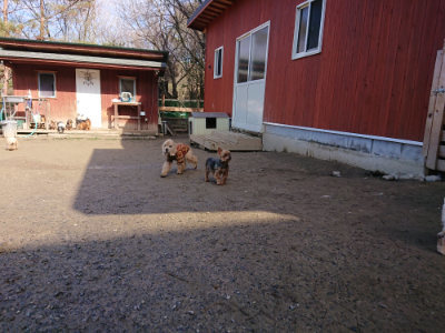 f:id:roukenhome-ann:20190202204353j:plain