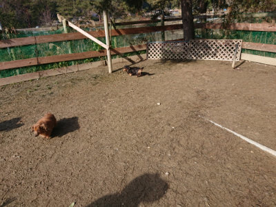 f:id:roukenhome-ann:20190202204506j:plain